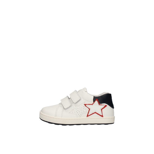 Balducci  low White