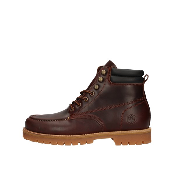 Lumberjack Amphibians Bordeaux