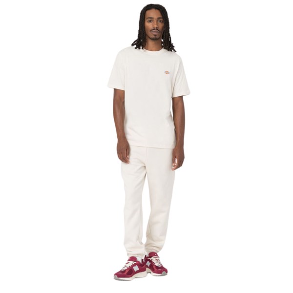 Dickies Short sleeve Beige