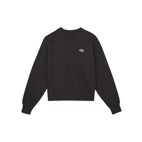 Dickies Hoodies Black