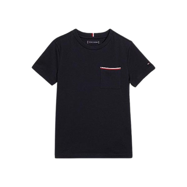 Tommy Hilfiger Short sleeve Blue