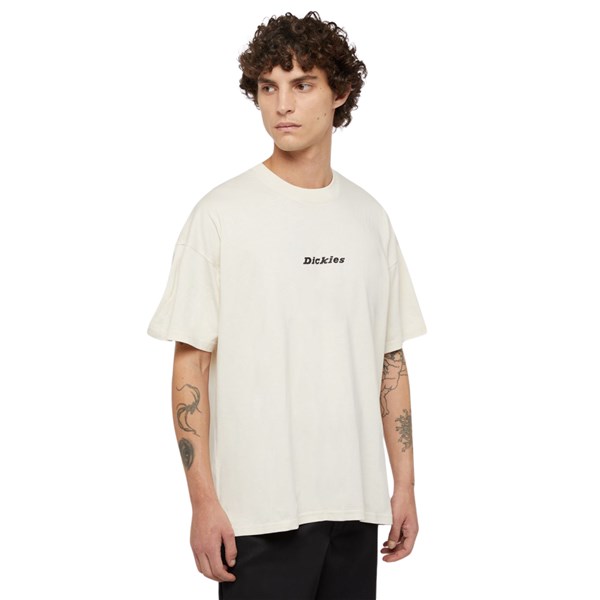 Dickies Short sleeve 