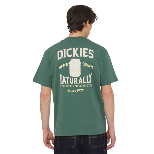 Dickies Short sleeve Green