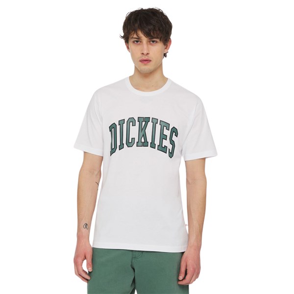 Dickies Short sleeve 