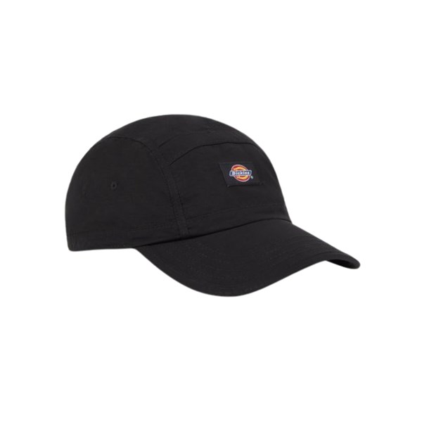 Dickies Baseball black