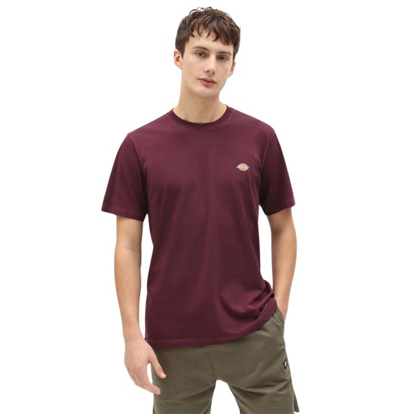 Dickies Short sleeve 