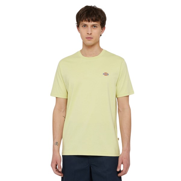 Dickies Short sleeve 
