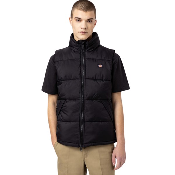 Dickies Smanicati black