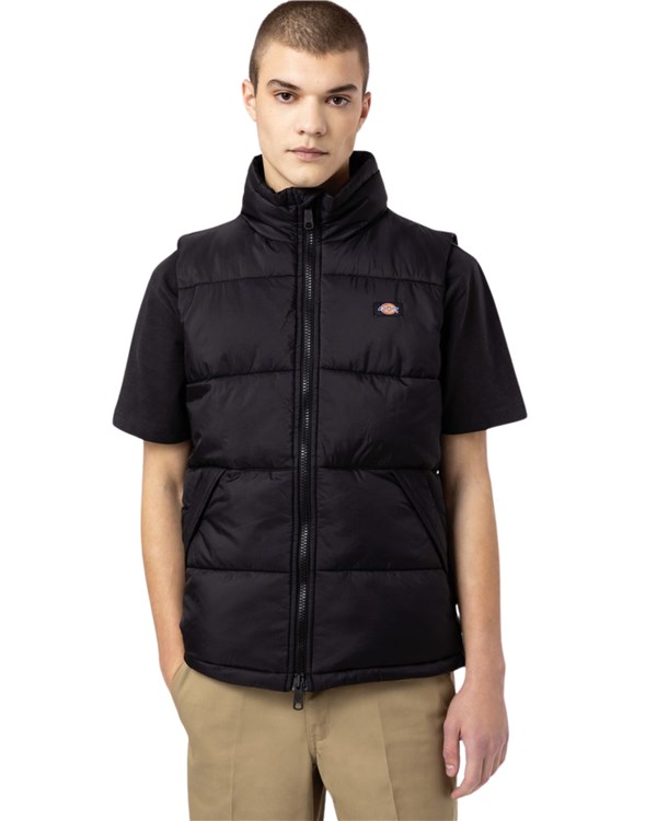 Dickies Abbigliamento Uomo Smanicati black DK0A4Y2KBLK1