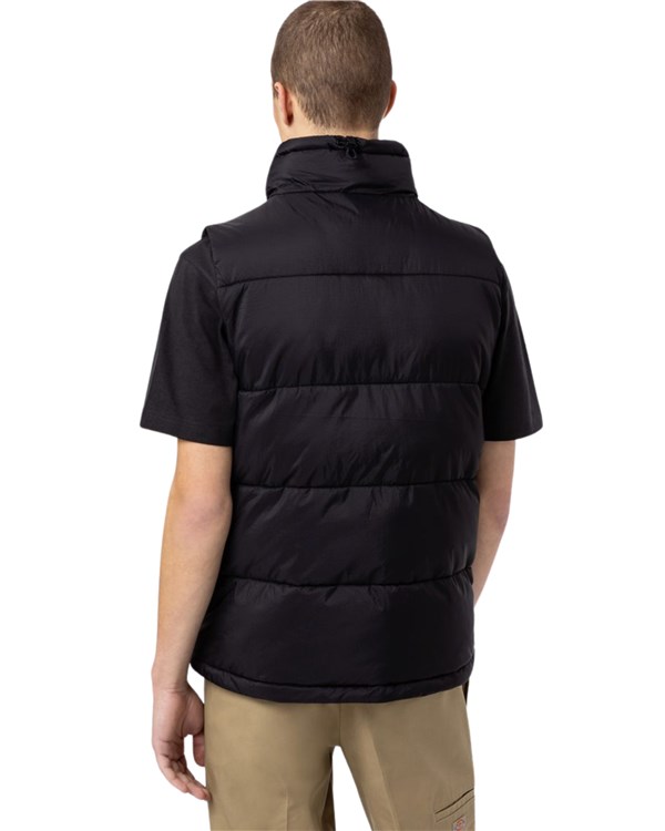 Dickies Abbigliamento Uomo Smanicati black DK0A4Y2KBLK1